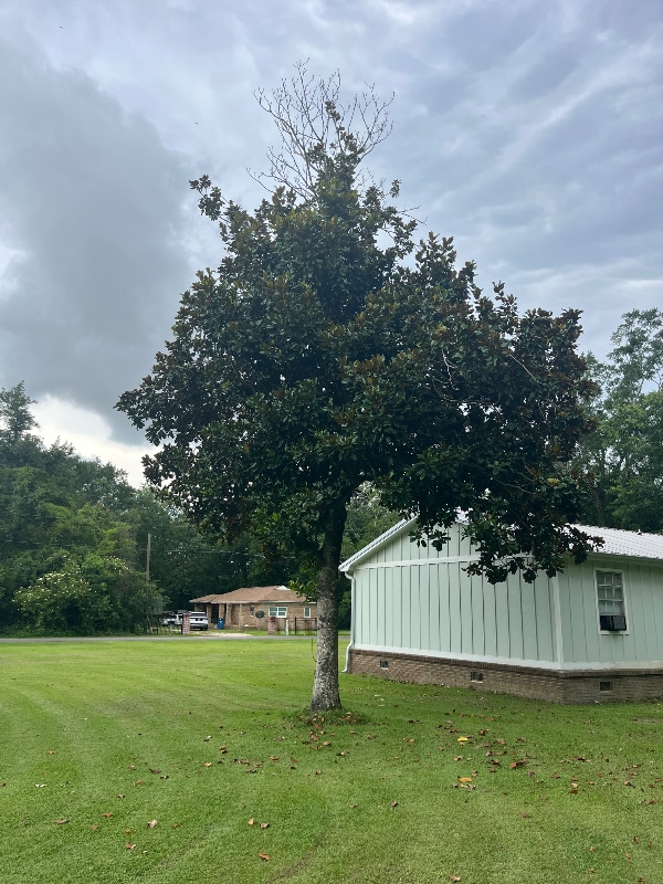 property at 26743 Pine St