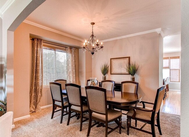 11491 Dark Star Way in Parker, CO - Building Photo - Building Photo