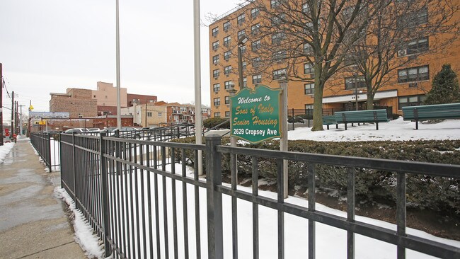 Sons Of Italy Senior Citizens Housing in Brooklyn, NY - Foto de edificio - Building Photo