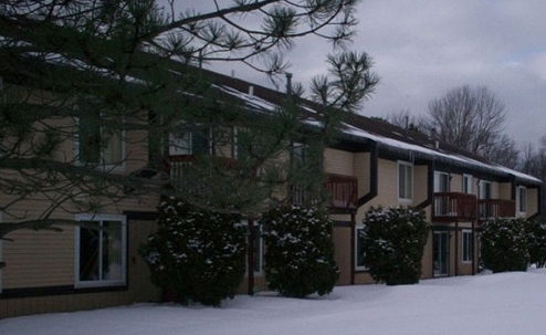 Riverside Manor Apartments in Au Gres, MI - Building Photo