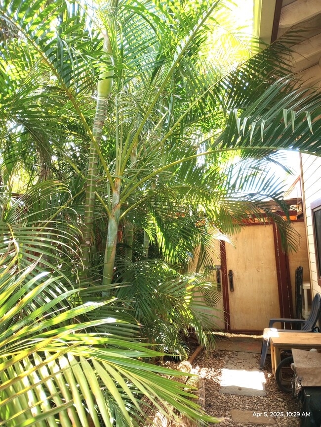 property at 281 Kaikea St