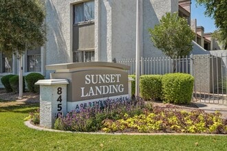 Sunset Landing in Glendale, AZ - Building Photo - Building Photo