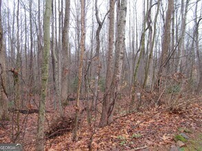 95 Live Oak Rd in Dahlonega, GA - Building Photo - Building Photo
