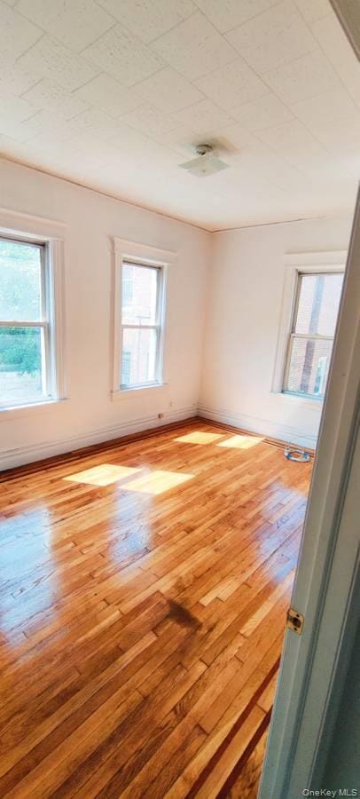 property at 1235 Lydig Ave