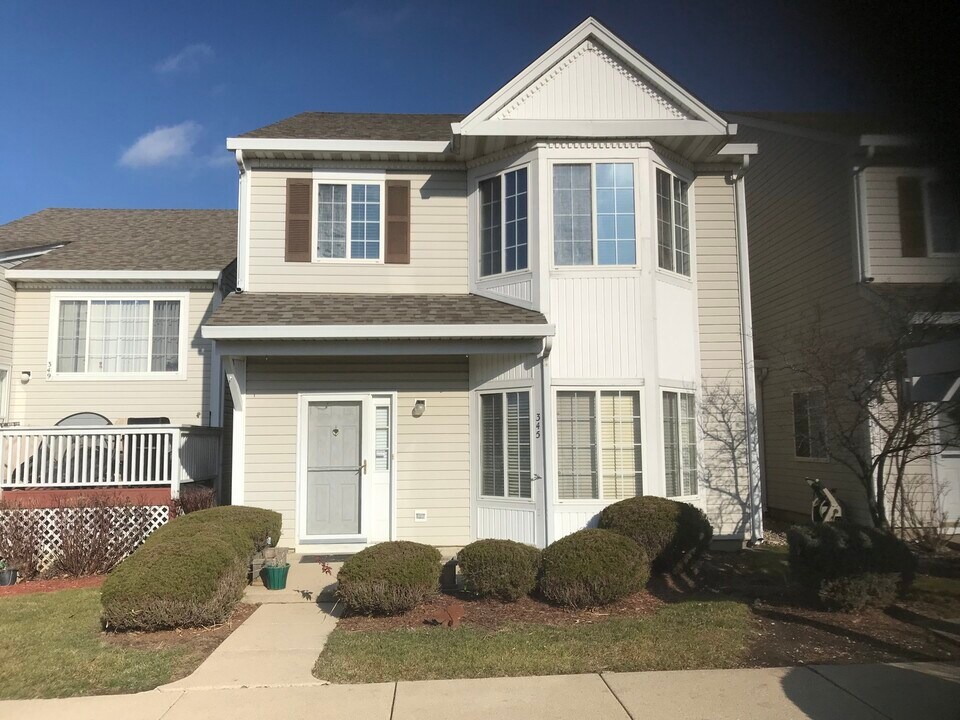 345 Evening Star Ct in Bolingbrook, IL - Building Photo