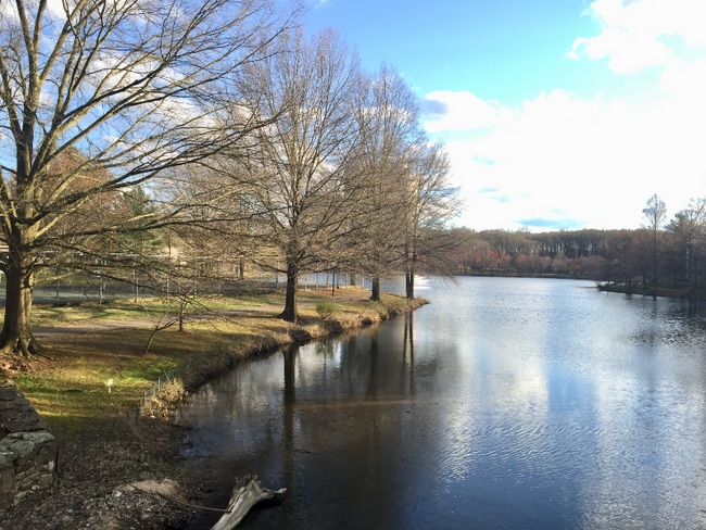 property at 7753 New Providence Dr