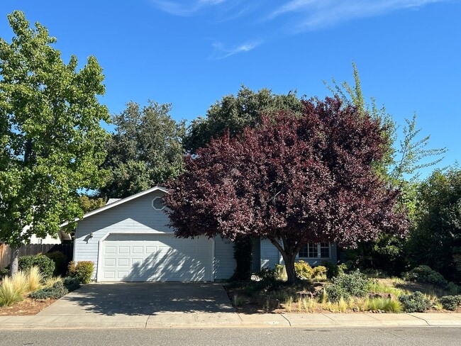 property at 1658 Albion Ct