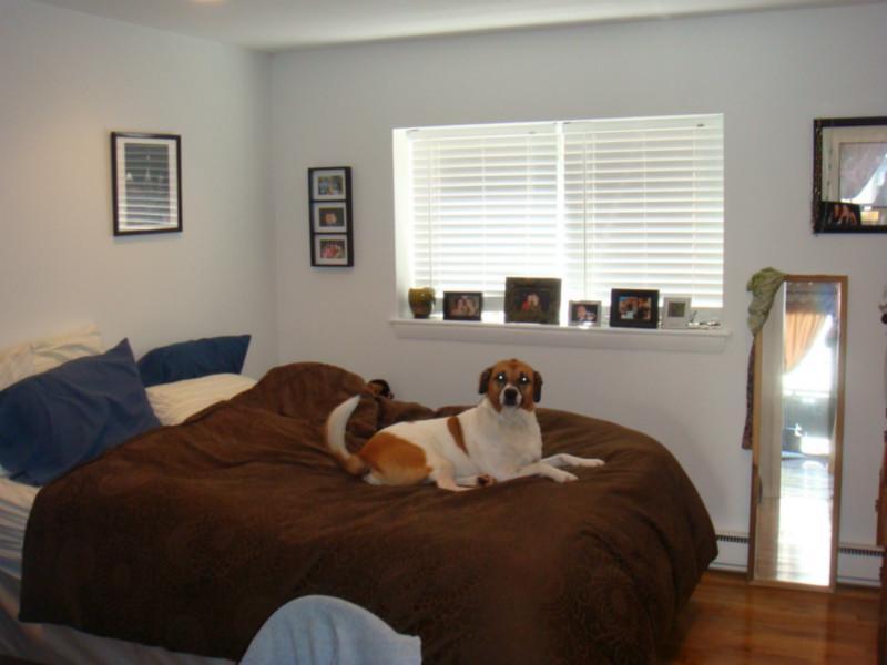 56 Euston Rd, Unit 9 in Boston, MA - Building Photo
