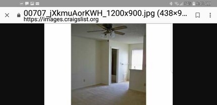 282 Ferdinand Cir in Virginia Beach, VA - Building Photo - Building Photo