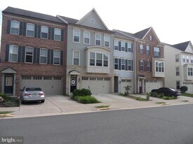 43359 Polenta Terrace in Chantilly, VA - Building Photo