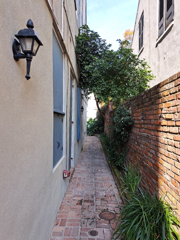 617 Dauphine St in New Orleans, LA - Building Photo - Building Photo