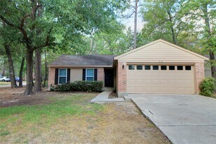 28 E Brookberry Ct in Spring, TX - Building Photo