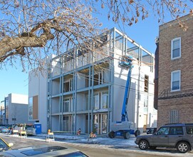 1611 N Wolcott Ave in Chicago, IL - Building Photo - Building Photo