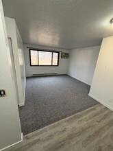 306 S 2nd St, Unit 1 in Beaver Creek, MN - Building Photo - Building Photo