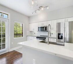 1515 Sandy Springs Rd in Houston, TX - Building Photo - Building Photo