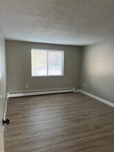 175 Willard St in Lowell, MA - Foto de edificio - Building Photo