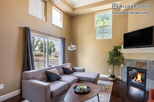 41903 Cerchio Terrace in Fremont, CA - Building Photo