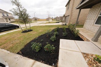 29011 Pearl Barley Wy in Hockley, TX - Building Photo - Building Photo