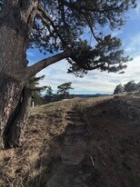 1559 S Lininger Dr in Golden, CO - Building Photo