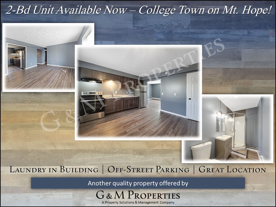 1522 Mt Hope Ave in Rochester, NY - Building Photo