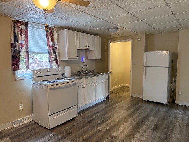 825 N Spalding St in Spring Valley, IL - Building Photo - Building Photo