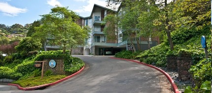 Sausalito Towers in Sausalito, CA - Building Photo - Building Photo