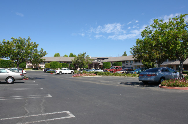 Arcadia Place in Vista, CA - Foto de edificio - Building Photo