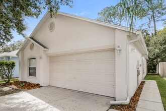 30220 Birdhouse Dr in Wesley Chapel, FL - Foto de edificio - Building Photo