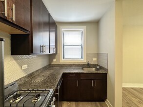 436 W Belden Ave in Chicago, IL - Building Photo - Building Photo