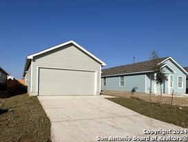 11787 Field Briar