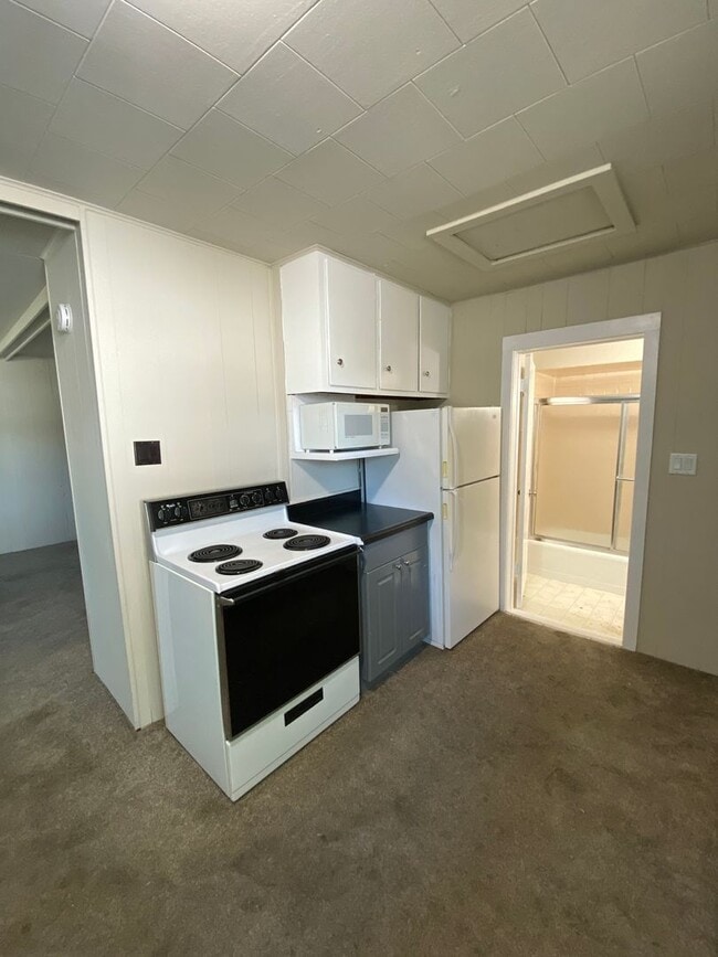 1421 E Madison Ave in Des Moines, IA - Building Photo - Building Photo