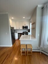 542 Columbus Ave, Unit 3 in Boston, MA - Building Photo - Building Photo