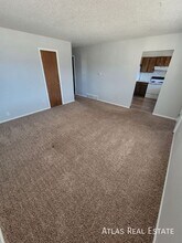 1017 Delaware Dr in Colorado Springs, CO - Building Photo - Building Photo