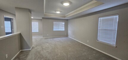 21322 Amesbury Meadow Ln in Spring, TX - Foto de edificio - Building Photo