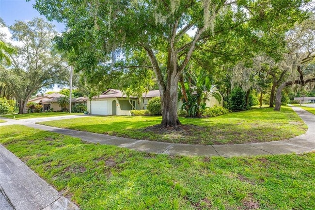 2059 Gary Ct in Palm Harbor, FL - Building Photo - Building Photo
