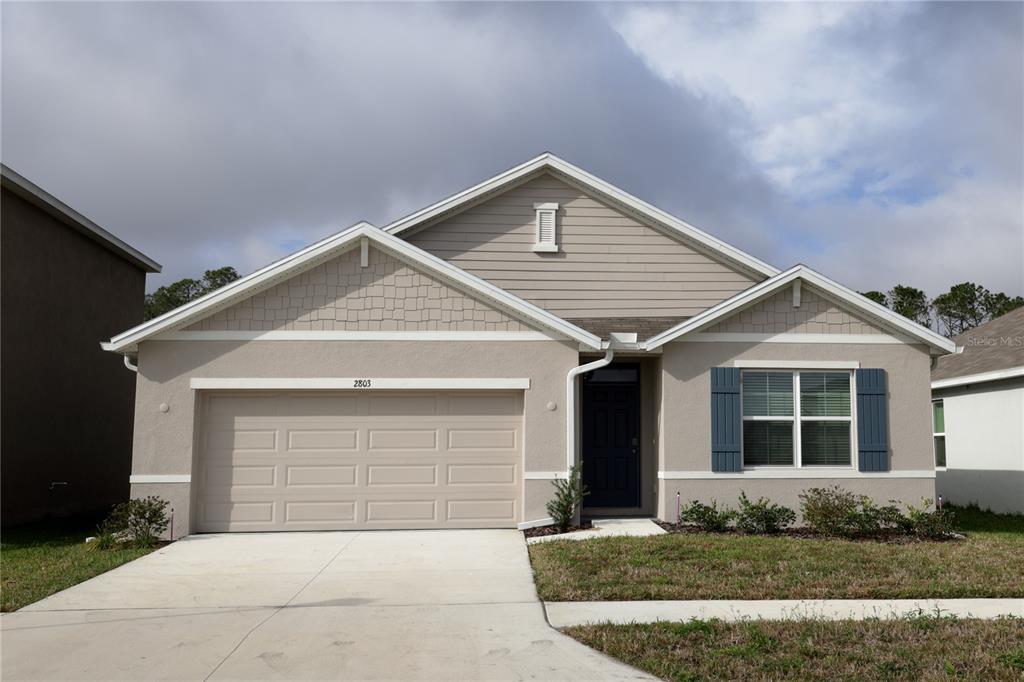 2803 Lotus Flower Trl in Wesley Chapel, FL - Building Photo