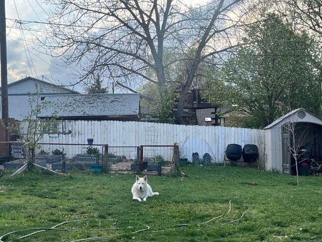 655 Kilmer St in Golden, CO - Building Photo - Building Photo