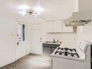 445 N Washington St, Unit Unit 2 in Denver, CO - Building Photo - Building Photo