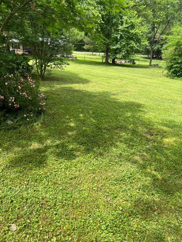 property at 215 Wilson St