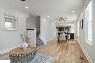 217 Shurs Ln in Philadelphia, PA - Building Photo