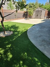 743 M St in Davis, CA - Building Photo - Building Photo