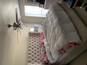 2831 31st Pl NE in Washington, DC - Building Photo - Building Photo