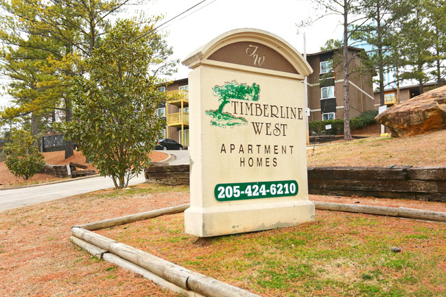 Vines at Timberline in Bessemer, AL - Building Photo - Building Photo