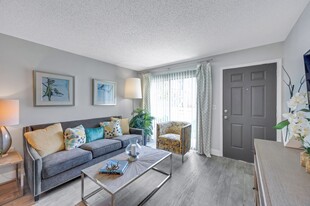 The Delmar in Tampa, FL - Building Photo