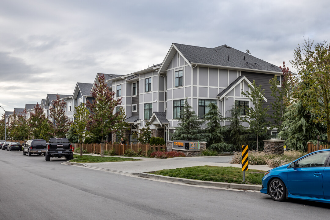 Tribute in Langley, BC - Building Photo