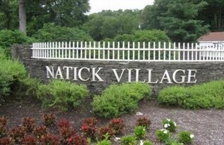 59 Village Brook Ln in Natick, MA - Building Photo