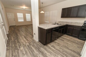 19002 Treviso Terrace Ln in Katy, TX - Building Photo - Building Photo