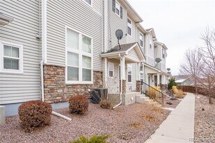 2681 Stonecrop Ridge Grove in Colorado Springs, CO - Building Photo