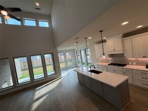 30930 Vintage Crk Ln in Fulshear, TX - Building Photo - Building Photo