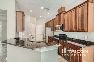 7982 Camden Woods Dr in Tampa, FL - Building Photo - Building Photo